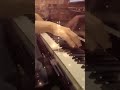 【ピアノ】ただ声一つ / ロクデナシ#shorts #かなた #ピアノ #弾いてみた