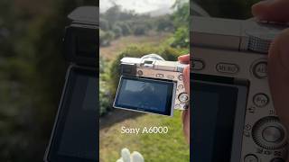 Canon R6 Mark II VS Sony A6000 VS Vivitar S126 #sony #sonyalpha6000 #canonr6mark2