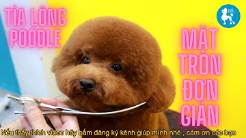 Học Cắt Tỉa Lông Chó | Cắt Tỉa Lông Poodle Kiểu Mặt Tròn | Zuli Pet