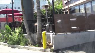 Ridin L A Metro Bus 2 Sunset Blvd In Sunset Street