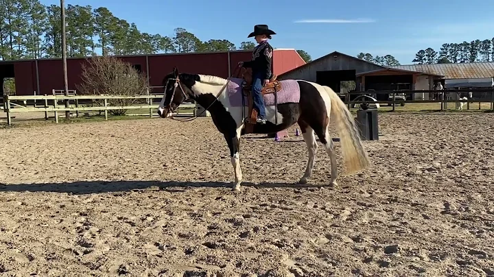 APHA January e-show Allison Goldstein/A Hotroddin ...