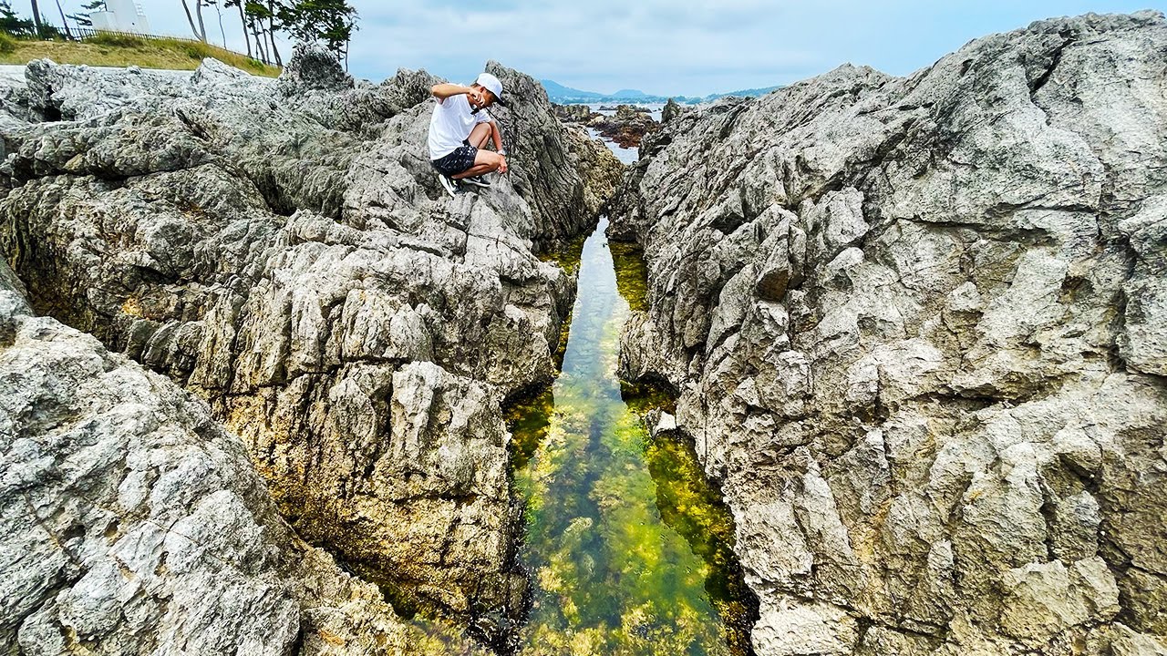この岩の隙間に出来た潮溜まりだけ様子がおかしい