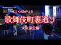 4K【立ちんぼがいる歌舞伎町裏通り～日曜の夜に集まる人々】ぶらぶら散歩【大久保公園と大久保病院の間の道】1番通りと2番通り【日本ラーメン大百科】【シネシティ広場】【トー横キッズ】～新大久保イケメン通り