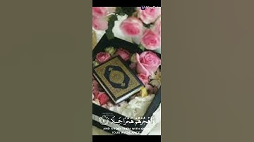 واصبر على ما يقولون واهجرهم هجرا جميلا    سورة المزمل
