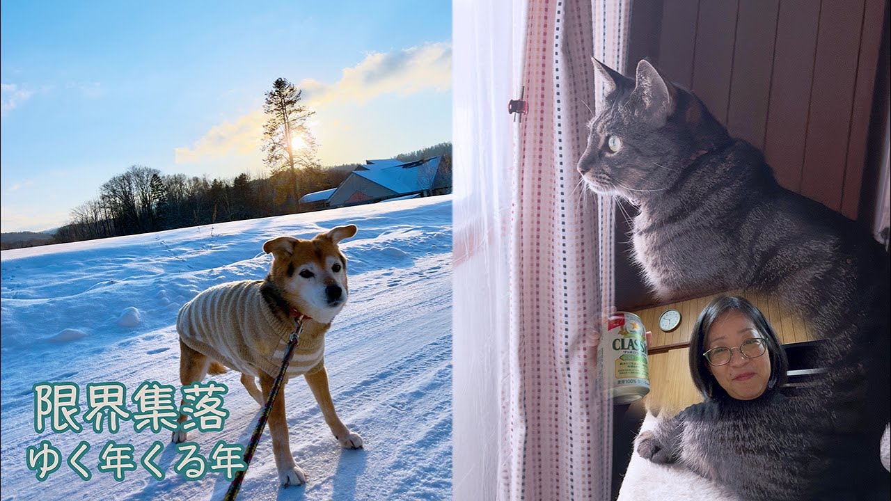 60代夫婦と犬と猫のゆく年くる年『vlog北海道・道東の暮らし』　Life in Hokkaido, Japan