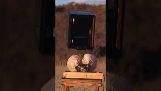 Alex Corea puts our printers through brutal tests | Vol. 1