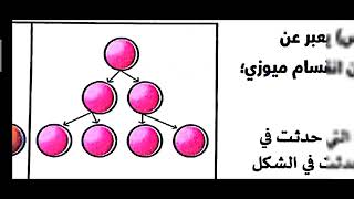 10- تفسير إجابات اسئلة صور التكاثر اللاجنسى 2024 ( حل كتاب التفوق اسئلة ) الأستاذ / محمد الرفاعى ذكى