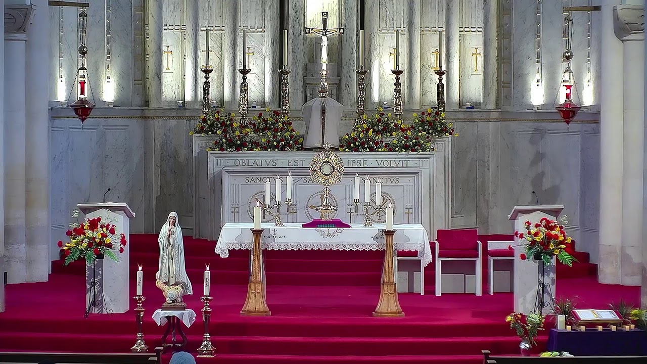 St Boniface Tooting Wednesday 11th Nov Mass at 9.30am and Adoration