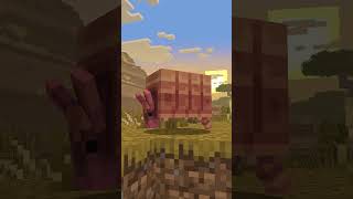 Armadillo In Minecraft, Vote Or Pass?