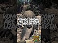Komodo Dragons Are Real-Life Monsters 😳🦎