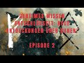 Geheimes Wissen der Runen tiefe einblicke mit Avalax