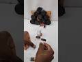 Dc Motor Weel Generator ✅️