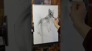 Russian blue cat #drawing #charcoalart #drawingtutorial #charcoaldrawing #artist #charcoal #art