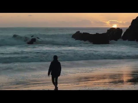 Voices from nature composé par RICOU