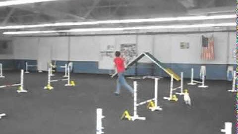 Jen Pinder- Variable Schedule of Reinforcement.mpg