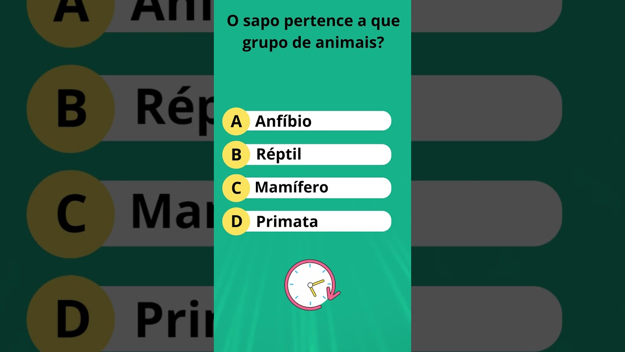 quiz conhecimentos gerais #criançascuriosas 