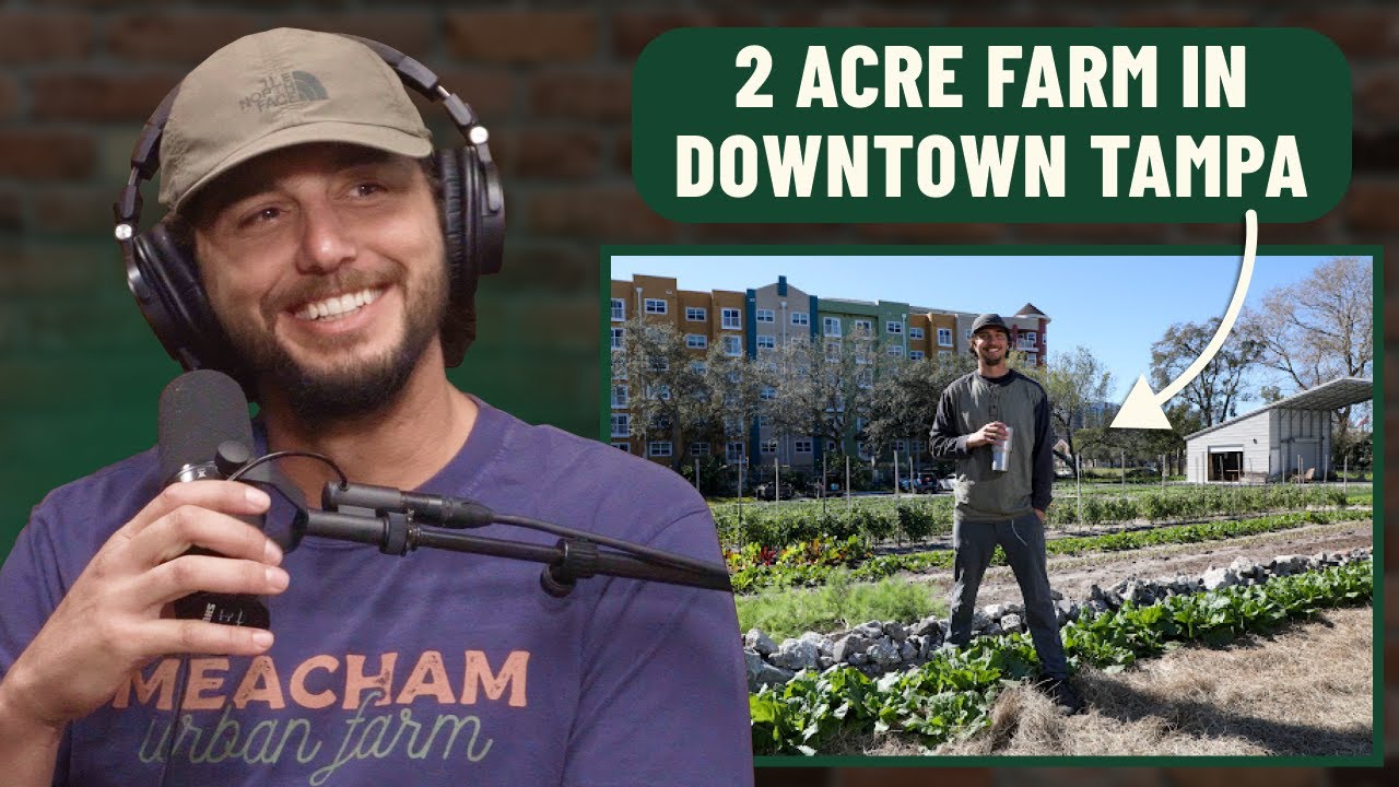 Он построил ферму в центре города Тампа