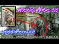 මොකක්ද? මේ ගල් සිංහ රුව | nidan salakunu | #nidan #rawana #raja - #Yakkula Rawana