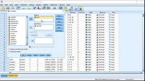 The Chi-square Test in IBM SPSS