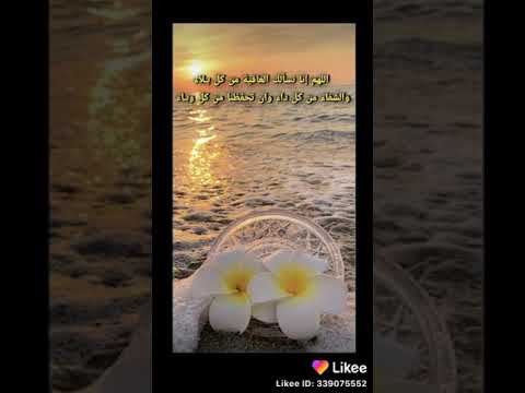 الشرقيه مركز ديرب نجم