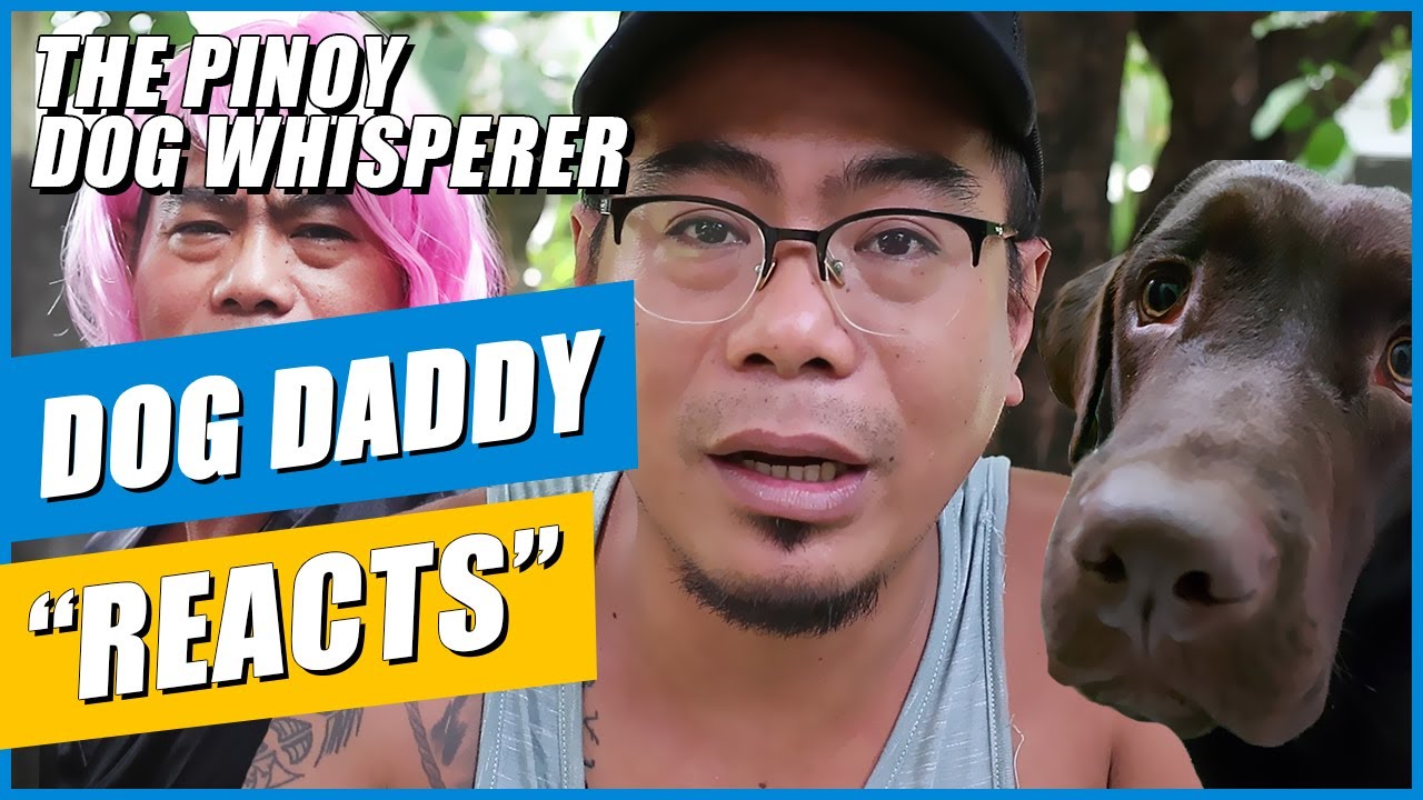 Dog Daddy Reacts to BASHERS (harsh comments!) YouTube