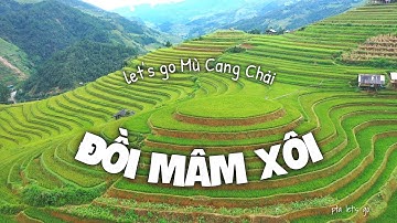 Khám Phá ruộng bậc thang Mâm Xôi Mù Cang Chải / Khám phá vùng cao tây bắc mùa vàng | PTA Let