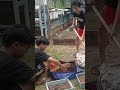 prepare a raised bed garden in area integrated urban farming BBI - UNM