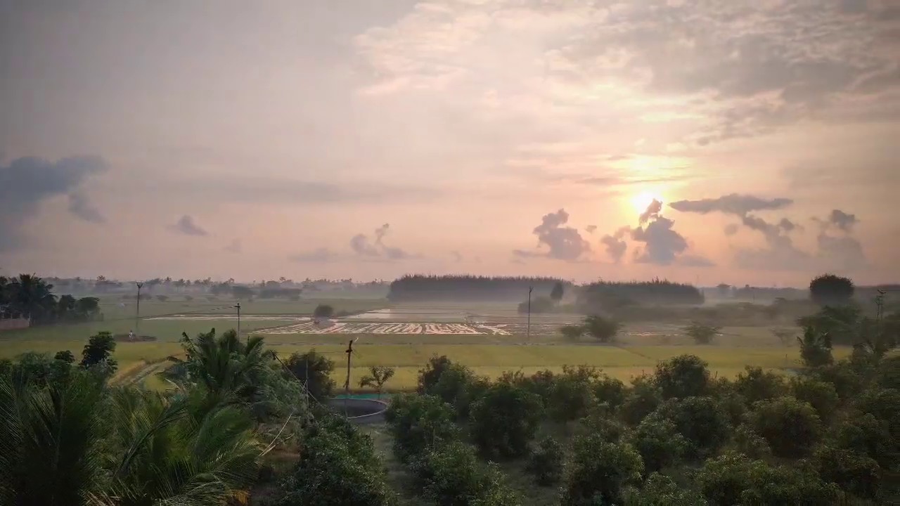 Farm Land for Sale Chennai Agricultural land in Chennai South YouTube