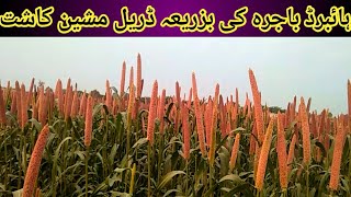 Modern Methods for Cultivation of Millet Crop|Hybrid Millet Bajra Cultivation Through Drill Machine