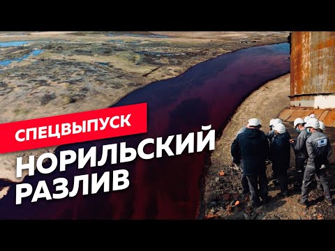 Кто виноват в экологической катастрофе в Заполярье? / Редакция