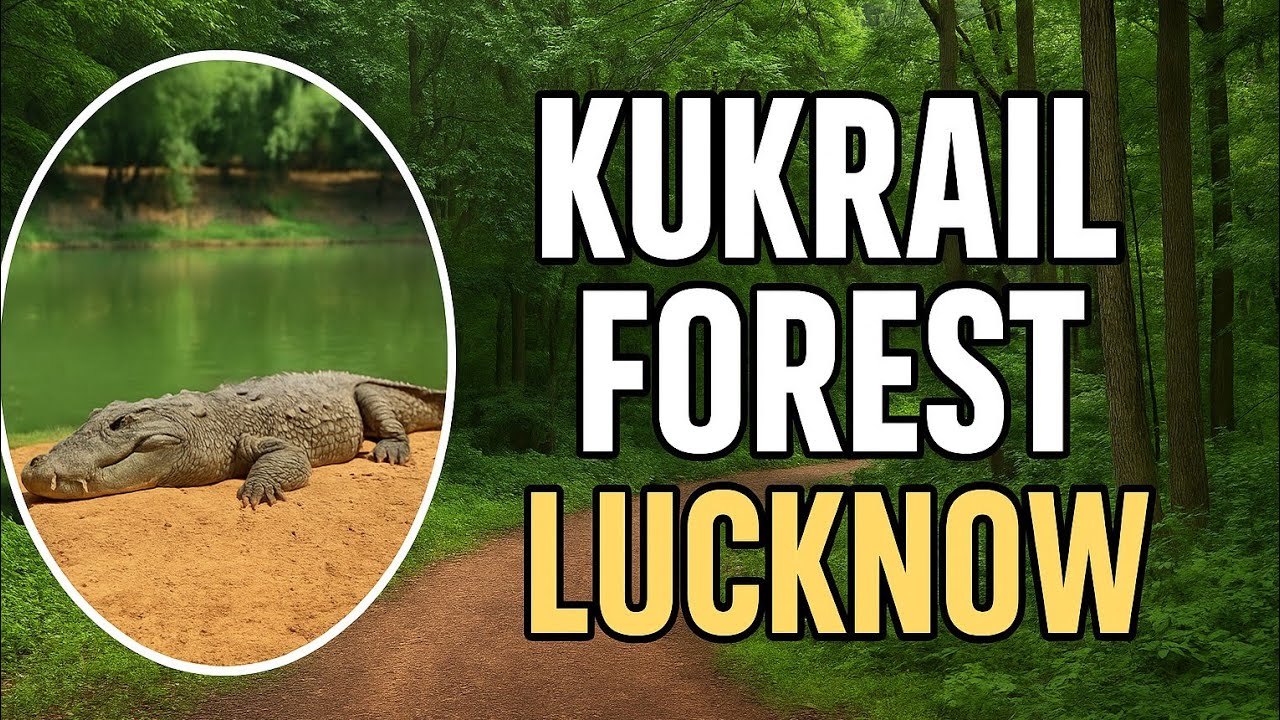 Kukrail forest picnic spot Lucknow | kukrail picnic Hidden place gharial park