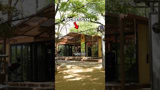 Secret Outdoor Gym In Korea