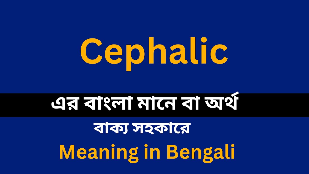 cephalic presentation bengali meaning