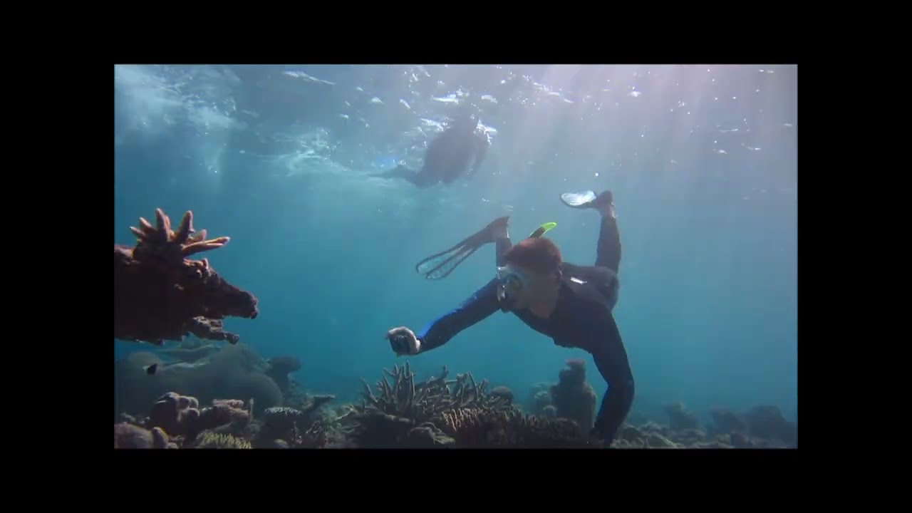 Excursion sédimentologique carbonates #géologie #sedimentation #tropical #calcaire