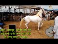 Horse dance with so many musical instruments