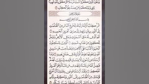 السعدي الناطق أواخر سورة الرعد _ وسورة إبراهيم صفحه 255