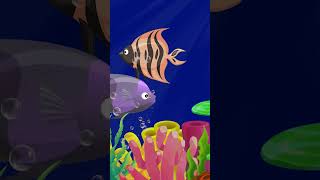 Sleep Instantly Within 3 Minutes ♥ Mozart Brahms Lullaby ♫ Lullaby for Babies to Go to Sleep #030