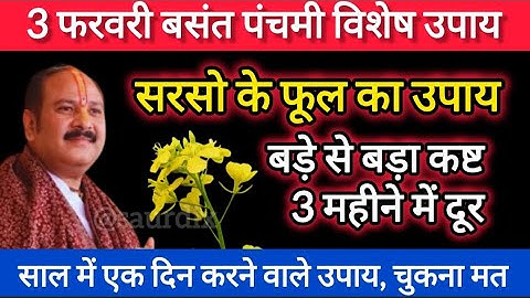 3 फरवरी बसंत पंचमी के दिन करे सरसों के फूल का महाउपाय  | Pradeep Mishra Ji | #basantpanchami