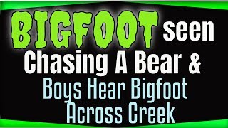2 Bigfoot Encounters - Bigfoot chases a Bear and Boys hear Bigfoot across a Creek