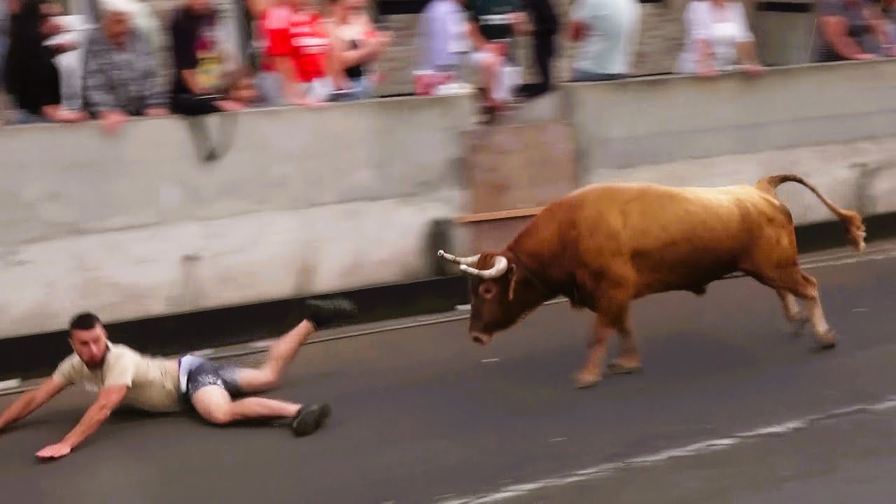 Tourada Caminho Da Salga - Touros ER (410,415,429,443) - 7/7/2025 - Ilha Terceira - Açores