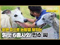 [풀버전] 휘핏 6총사가 떴다! 밝은 미소와 함께 논밭을 달리는 견공들과 민수 씨 | 동물극장 단짝 EP35 | KBS 221015 방송