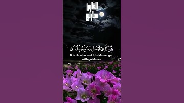 يريدون ليطفئوا نور الله بأفواههم والله متم نوره 📖 تلاوة مؤثرة من سورة الصف #سورة_الصف #قرآن #اكسبلور