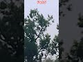 Drone Flying Test // Drone short part 5 #shorts