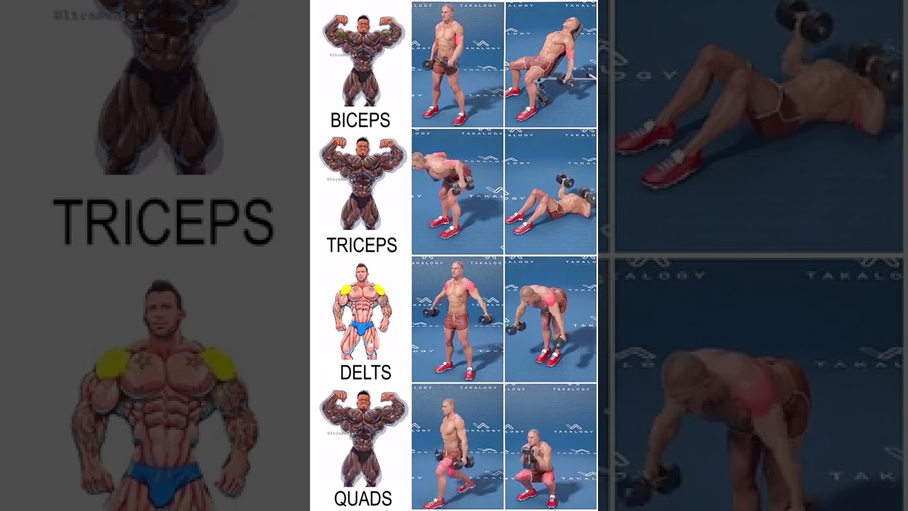 Biceps and triceps exercise at home with dumbbells | 8 best dumbbell exercises #shorts