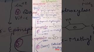 Conversion of Tyrosine to Epinephrine, Norepinephrine #shortvideo #reels #trendingshorts #mbbs