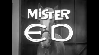 Celebrity Mister Ed 1961 - 1966 Opening and Closing Theme (With Snippet) Wealth