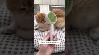 Perfect Fur Every Time: Benefits of a Cat Grooming Brush