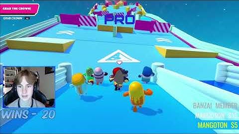 Fall Guys! NOOB VS PRO VS HACKER