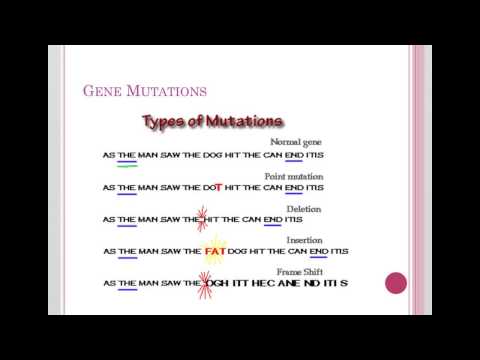 Frameshift Mutations