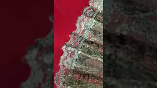 A Teasing Courtship fan reading, chapter 1